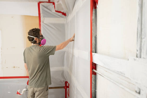 Trusted Lake Crystal, MN Mold Removal Experts