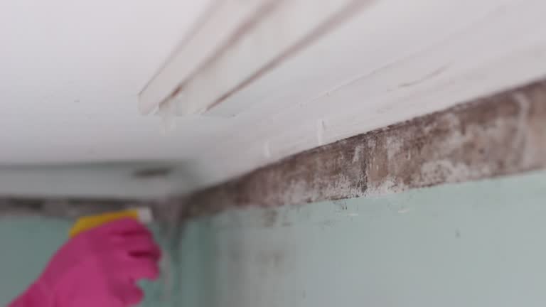 Best Indoor Air Quality Assessment  in Lake Crystal, MN